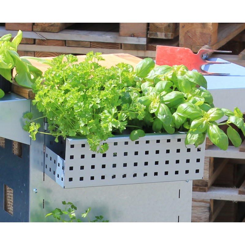 Kräuterkorb "Palatino" | DB703 anthrazit - Mygardenshop.de